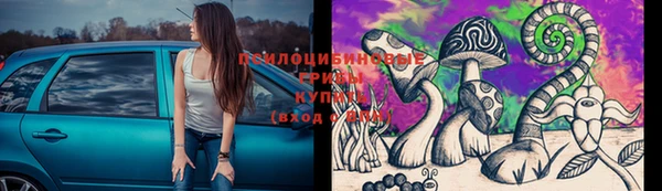 шишки Новокубанск