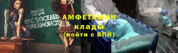 ПСИЛОЦИБИНОВЫЕ ГРИБЫ Новозыбков