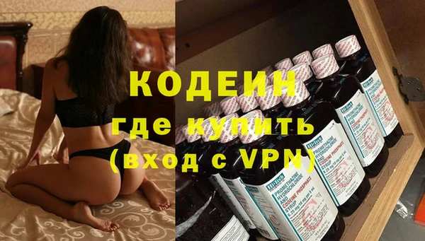 ПСИЛОЦИБИНОВЫЕ ГРИБЫ Новозыбков