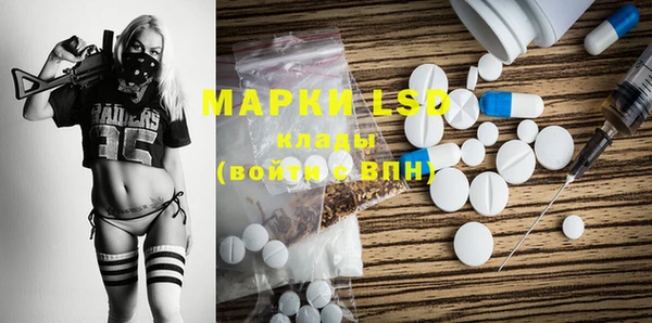 ПСИЛОЦИБИНОВЫЕ ГРИБЫ Новозыбков