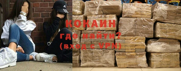 шишки Новокубанск
