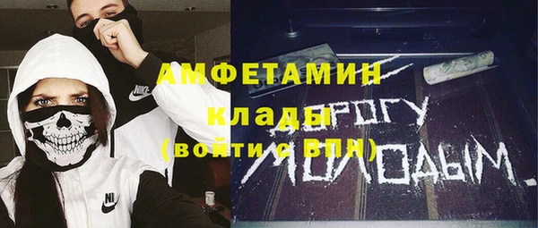ПСИЛОЦИБИНОВЫЕ ГРИБЫ Новозыбков