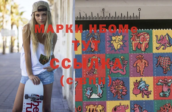 ПСИЛОЦИБИНОВЫЕ ГРИБЫ Новозыбков