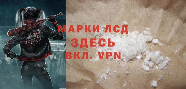 ПСИЛОЦИБИНОВЫЕ ГРИБЫ Новозыбков