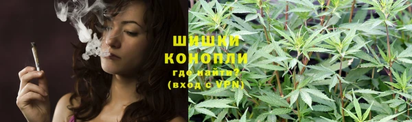 ПСИЛОЦИБИНОВЫЕ ГРИБЫ Новозыбков
